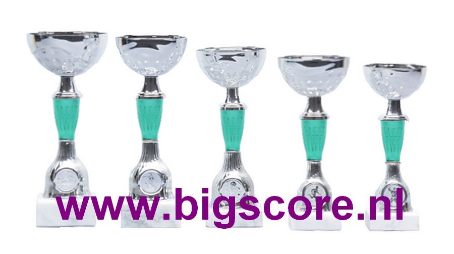Z534 Beker Groen-Zilver
